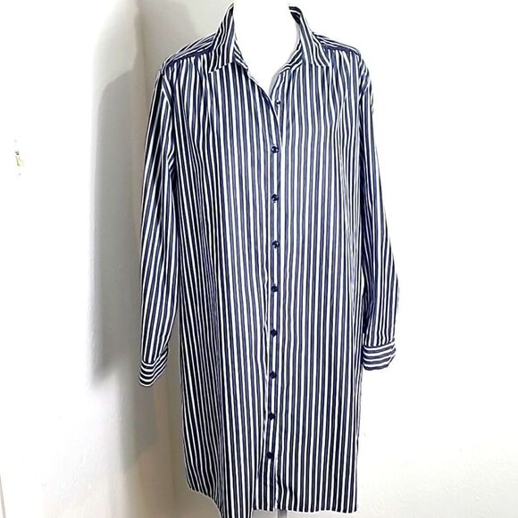 Time & Tru Buttondown Shift Dress, Blue & White Stripe, Size Large (12-14) - Picture 1 of 9